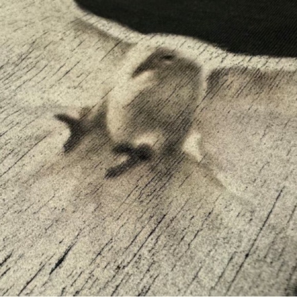 YEEZY GAP ENGINEERED BY BALENCIAGA DOVE TEE unisex Custom size XL (oversized) - Picture 8 of 16